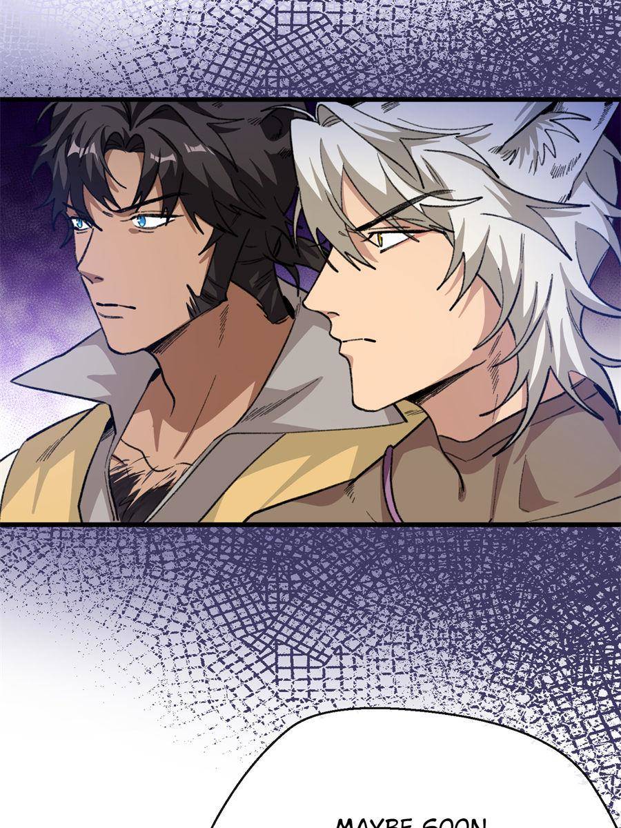 85741080 900 1200 231303